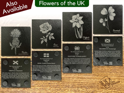 Flower Slate Coasters